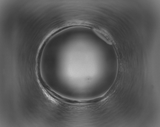 X0000054361136200508011213