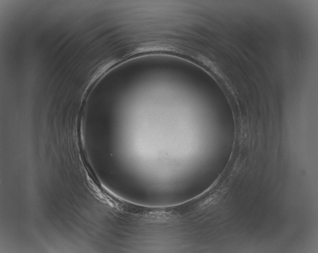 X0000054361137200508011213