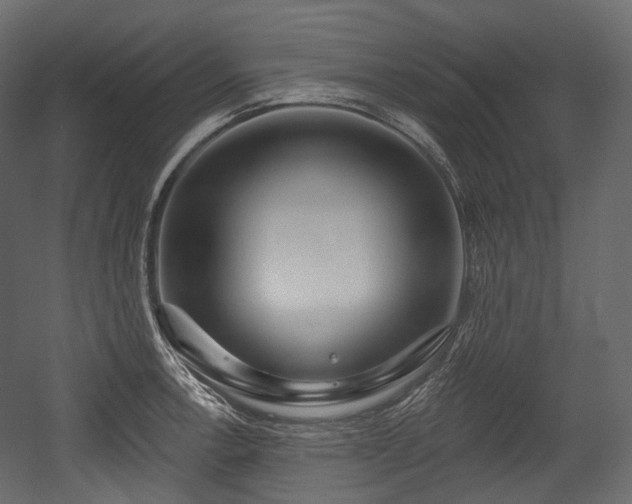 X0000054361138200508011213