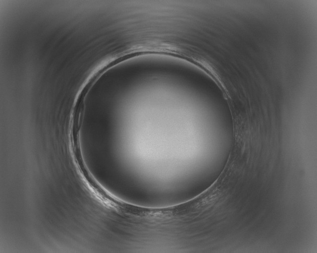 X0000054361139200508011213