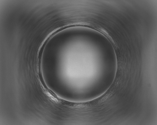 X0000054361140200508011213