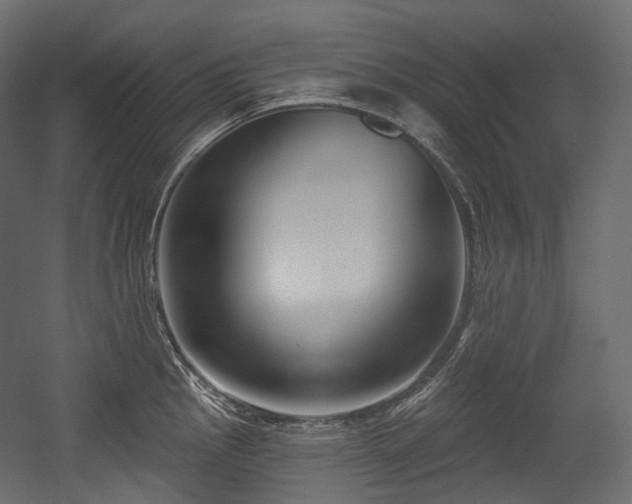 X0000054361145200508011213