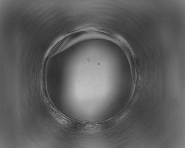 X0000054361146200508011213