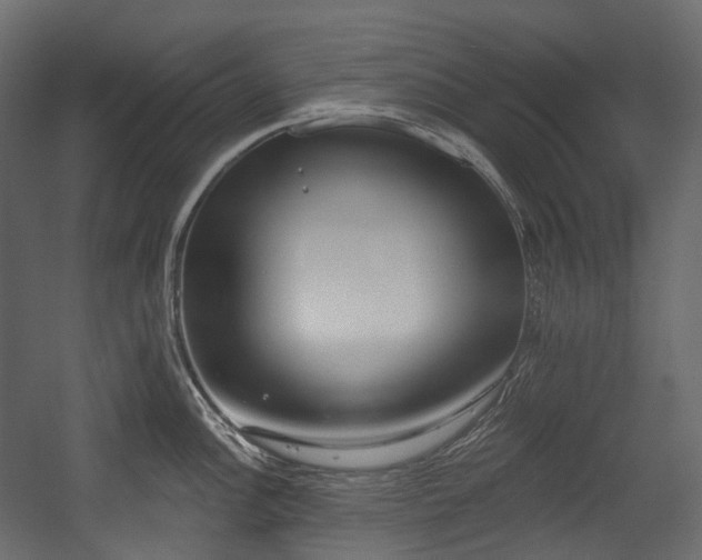 X0000054361148200508011214