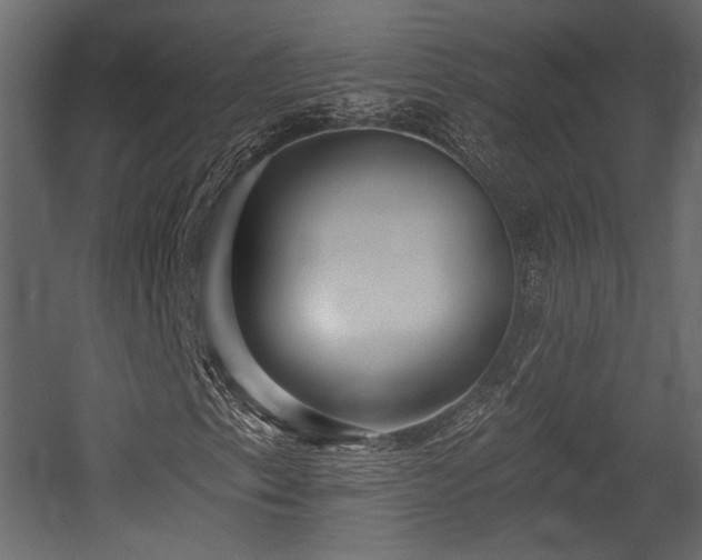 X0000054361153200508011213