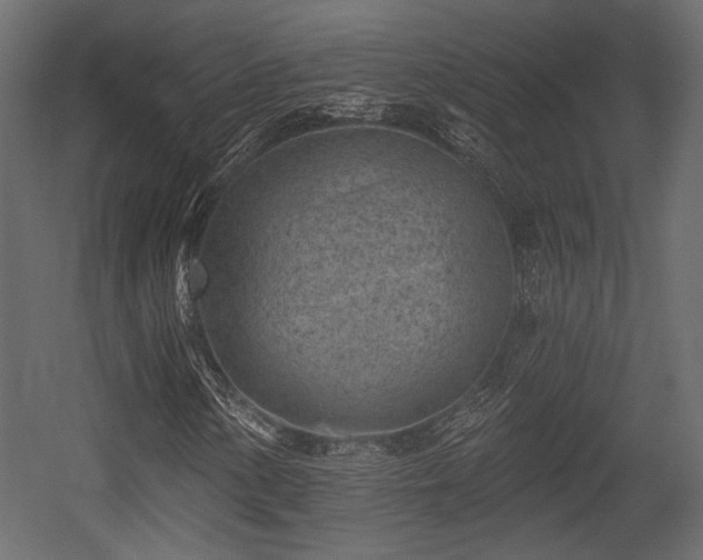 X0000054361154200508011213