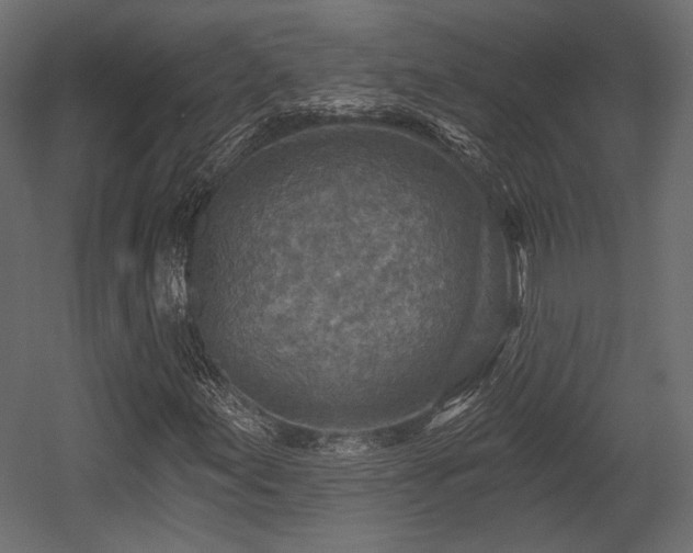 X0000054361155200508011213