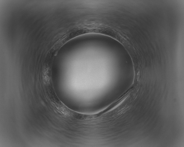 X0000054361156200508011213