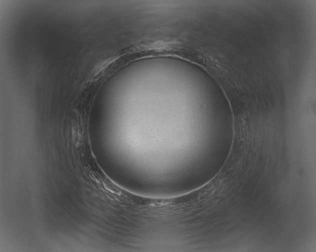 X0000054361158200508011213