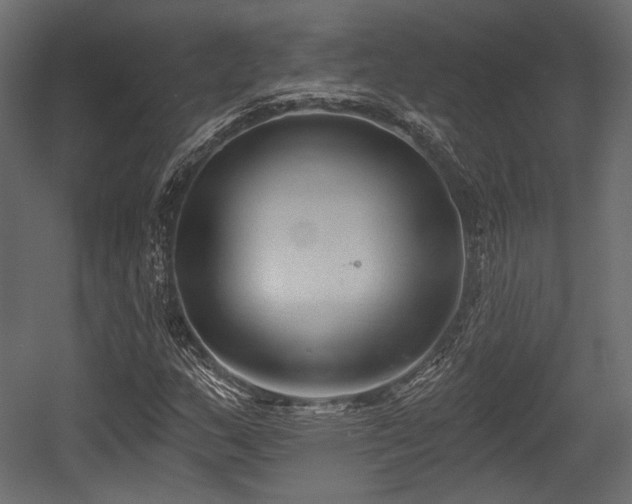 X0000054361159200508011213