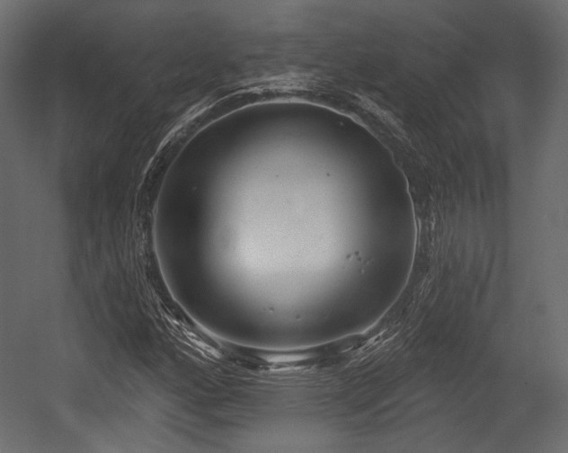 X0000054361160200508011213