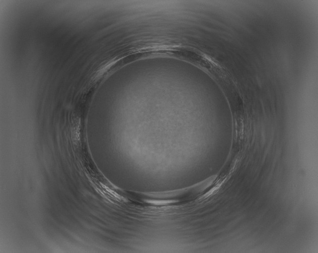 X0000054361161200508011213