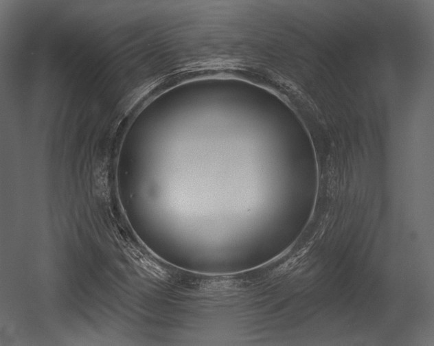 X0000054361162200508011213