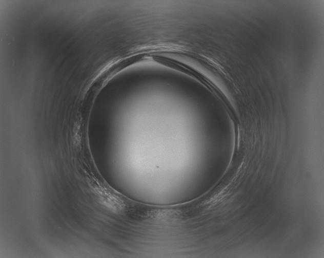 X0000054361163200508011213