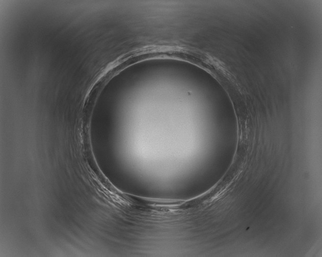 X0000054361165200508011213
