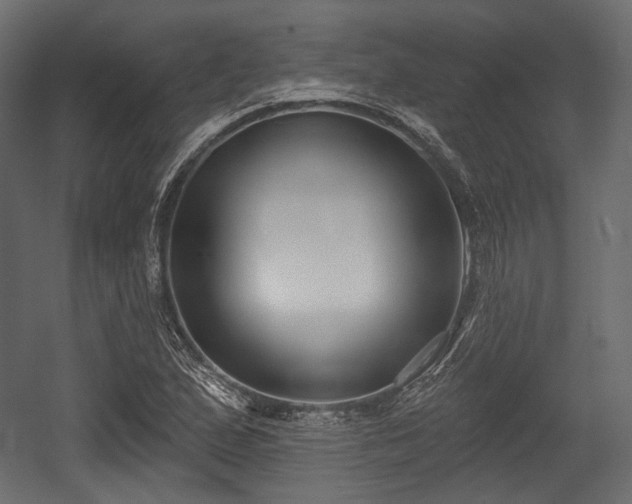 X0000054361167200508011213