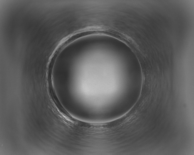 X0000054361168200508011213