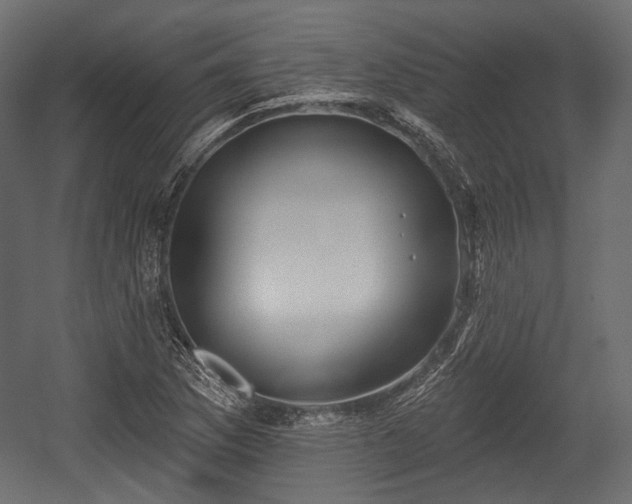 X0000054361169200508011212
