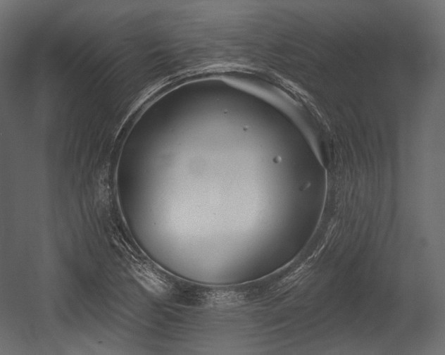 X0000054361170200508011212