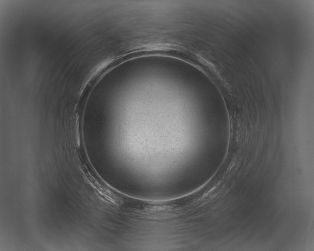 X0000054361171200508011212