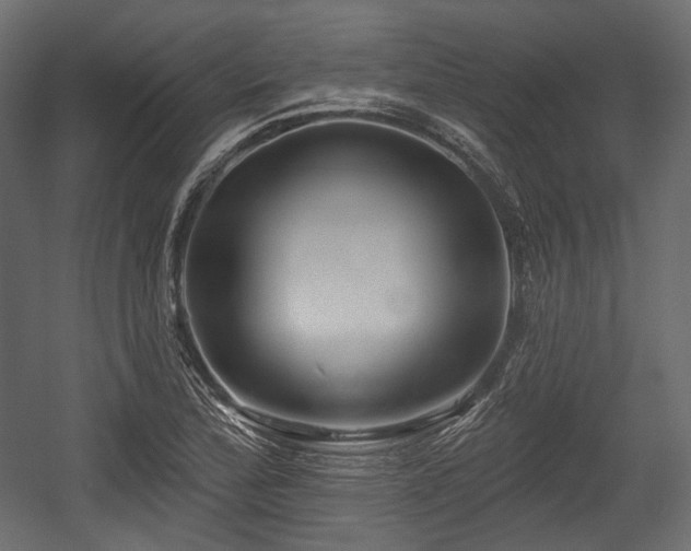 X0000054361172200508011212