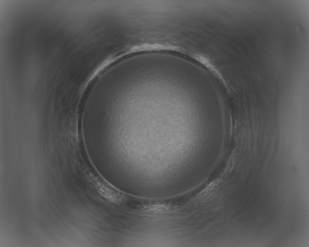 X0000054361173200508011212