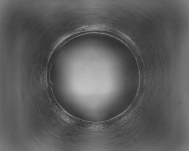 X0000054361174200508011212