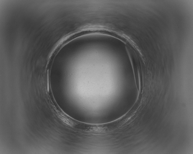 X0000054361175200508011212