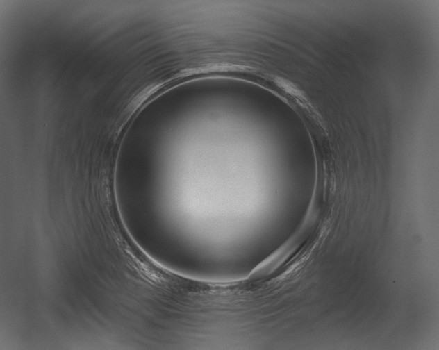 X0000054361177200508011212