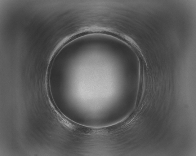 X0000054361183200508011212