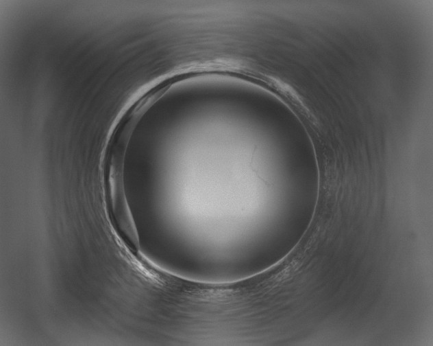 X0000054361184200508011212