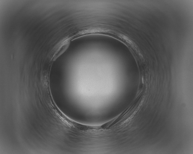 X0000054361185200508011212