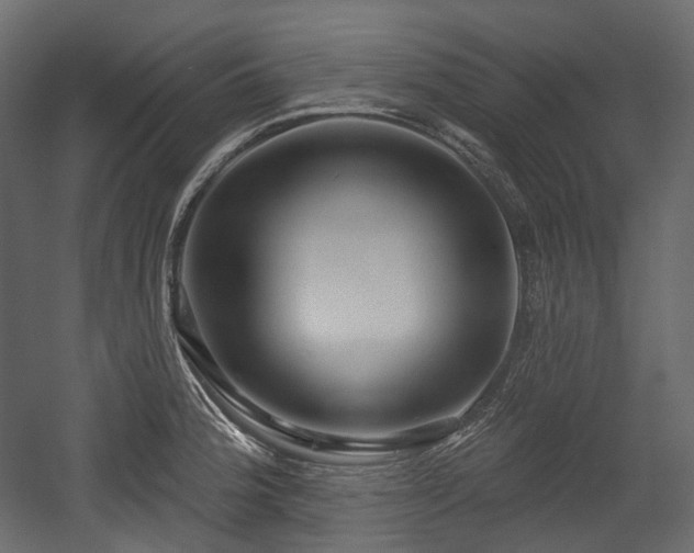 X0000054361188200508011212