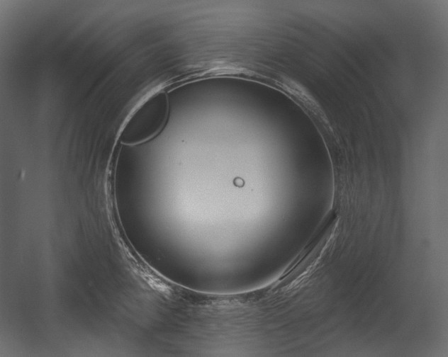 X0000054361190200508011212