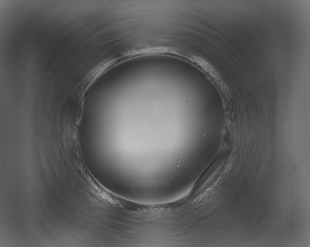 X0000054361193200508011212