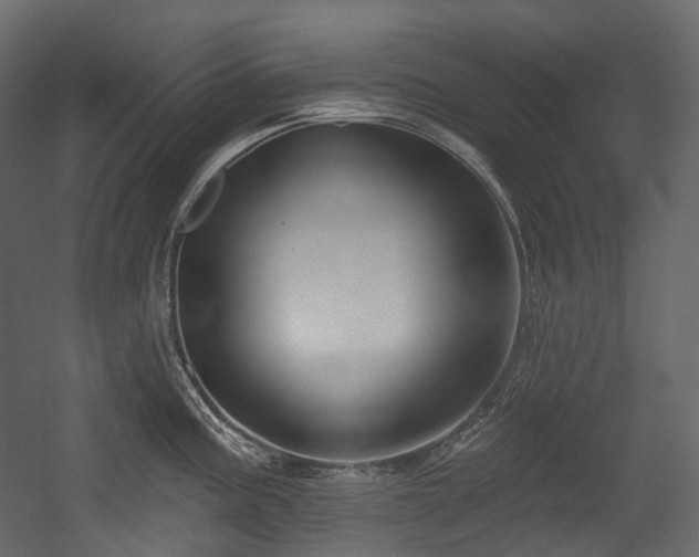 X0000054361195200508011212