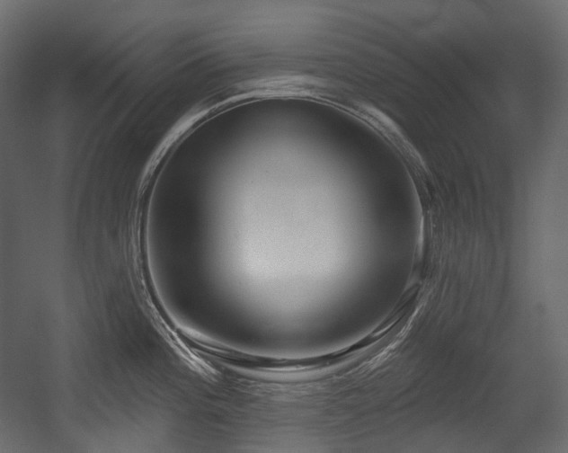 X0000054361196200508011212