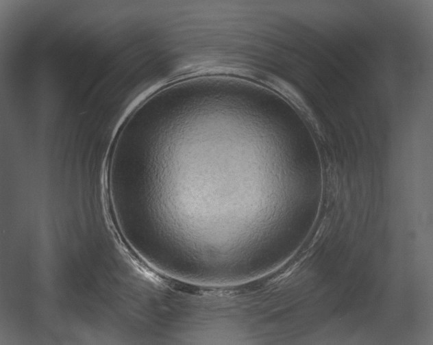 X0000054361198200508011212