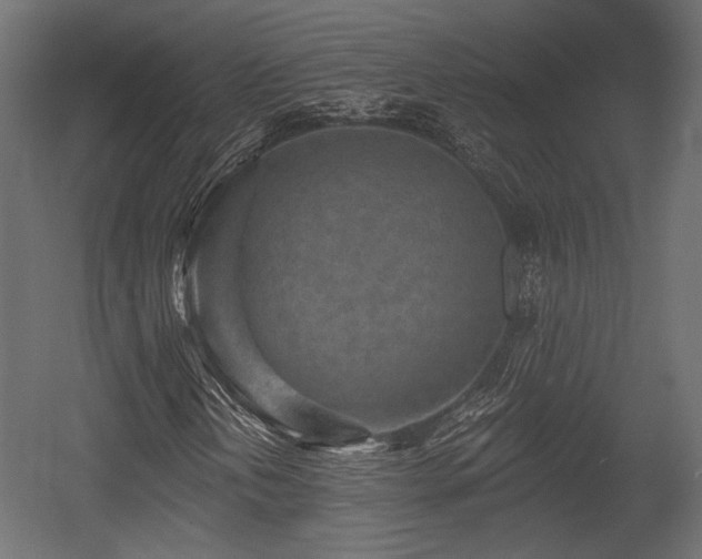 X0000054361202200508011211