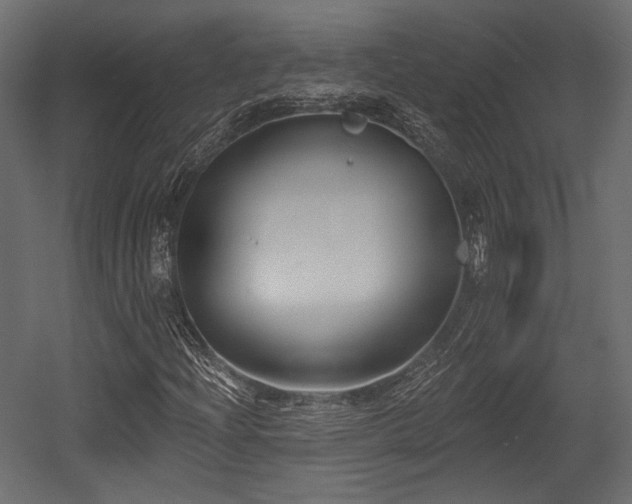X0000054361204200508011211