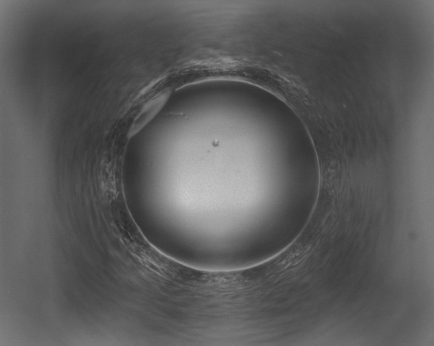 X0000054361205200508011211