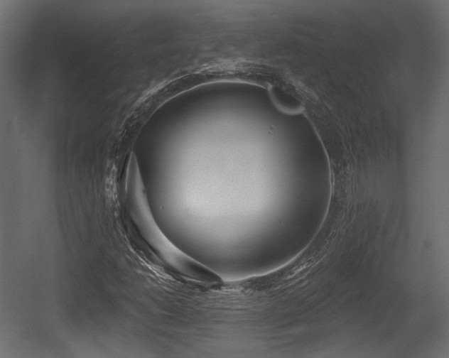 X0000054361206200508011211