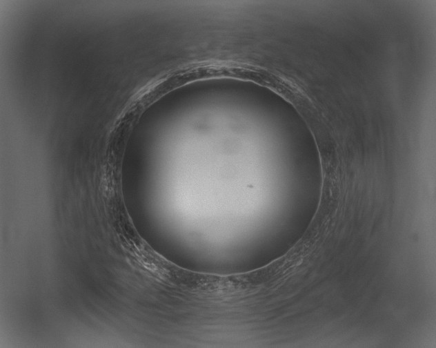 X0000054361207200508011211