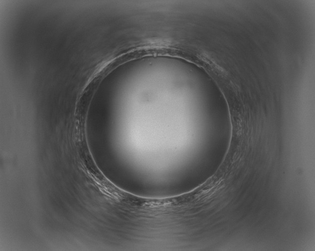 X0000054361208200508011211