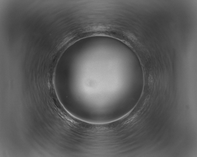X0000054361209200508011211