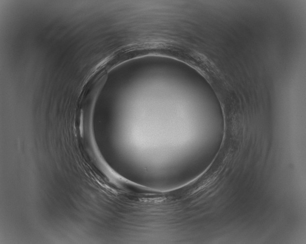 X0000054361210200508011211