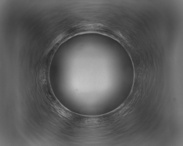 X0000054361211200508011211
