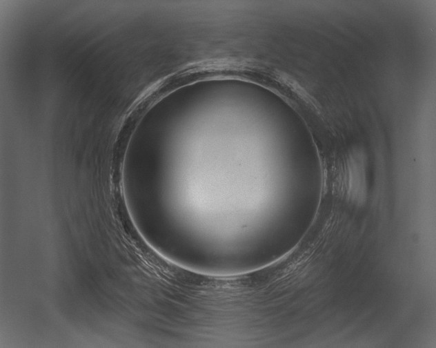 X0000054361213200508011211