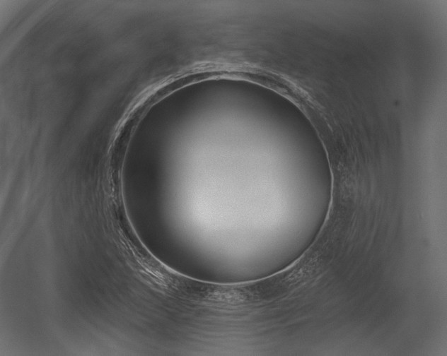 X0000054361215200508011211