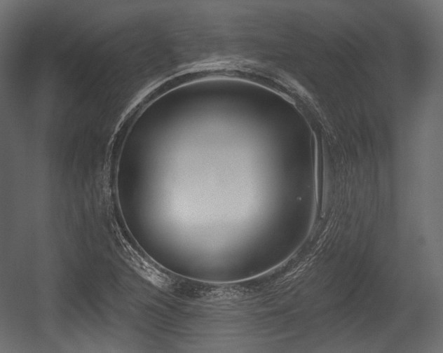X0000054361216200508011211